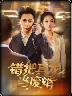 错把真龙当废婿(全集)