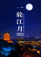 一轮江月[中国医生](全集)