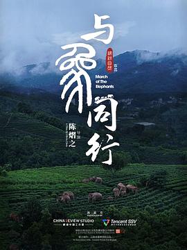 与象同行(全集)