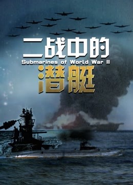 二战中的潜艇(全集)
