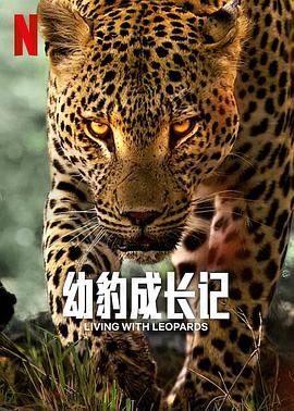 幼豹成长记(全集)